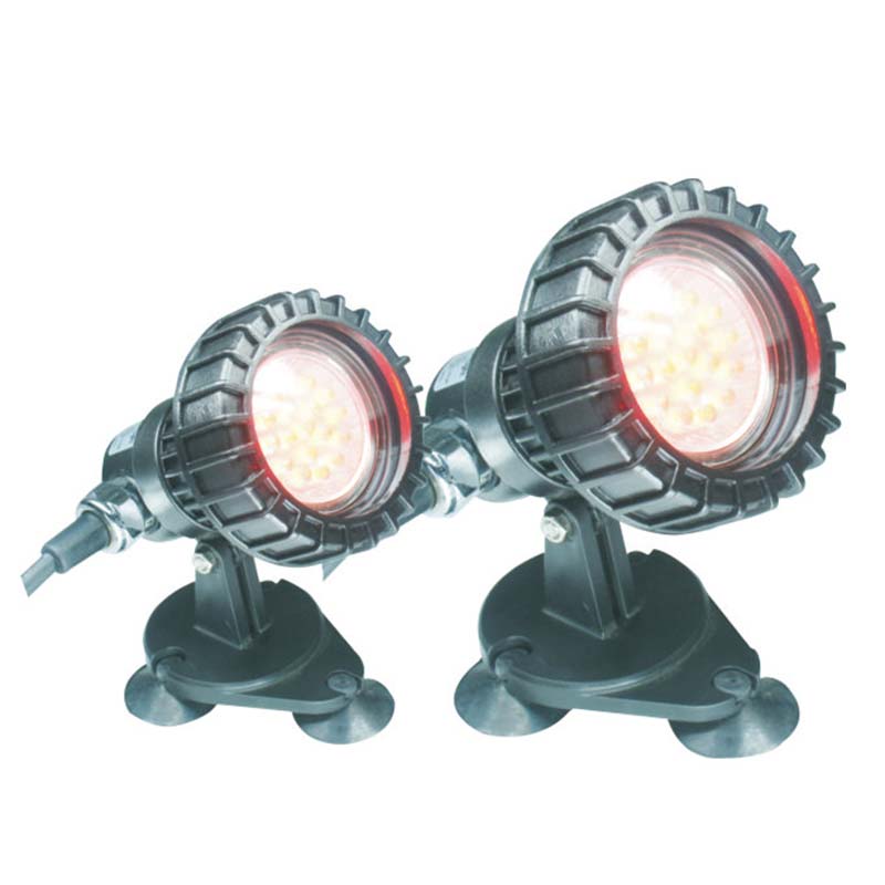 ปลาใต้แสงใต้น้ำบ่อใต้น้ำ